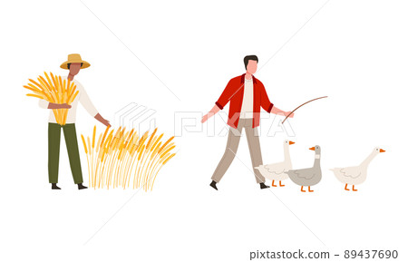 Man Farmer in Straw Hat Gathering Wheat Spikelet and with Geese Vector Illustration Set Man Farmer in Straw Hat Gathering Wheat Spikelet and with Geese Vector Illustration Set 89437690
