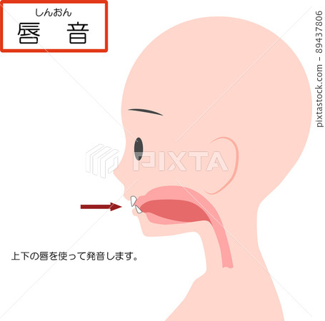 Chinese pronunciation learning [labial consonant] 89437806