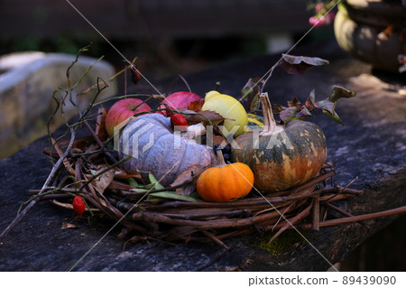 Nasu Kopis Garden dyed with autumn leaves 89439090