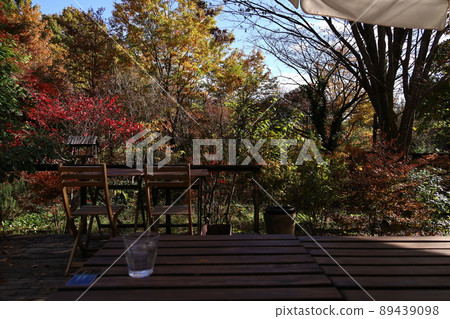 那須 Kopis 花園 染上紅葉 那須 Kopis 花園 染上紅葉 89439098