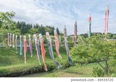 Carp streamer in Setama, Ichihara City, Chiba Prefecture 89439720