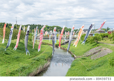 Carp streamer in Setama, Ichihara City, Chiba Prefecture 89439733
