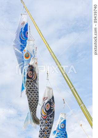 Carp streamer in Setama, Ichihara City, Chiba Prefecture Carp streamer in Setama, Ichihara City, Chiba Prefecture 89439740