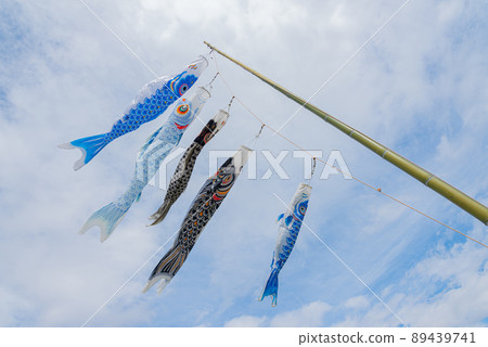 Carp streamer in Setama, Ichihara City, Chiba Prefecture Carp streamer in Setama, Ichihara City, Chiba Prefecture 89439741