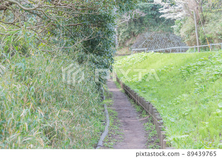 神奈川縣逗子市小股山的山路 89439765