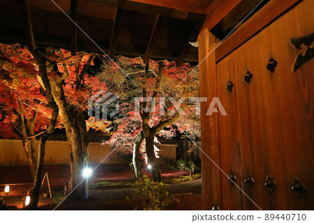Illumination of Arashiyama Hogon-in Illumination of Arashiyama Hogon-in 89440710
