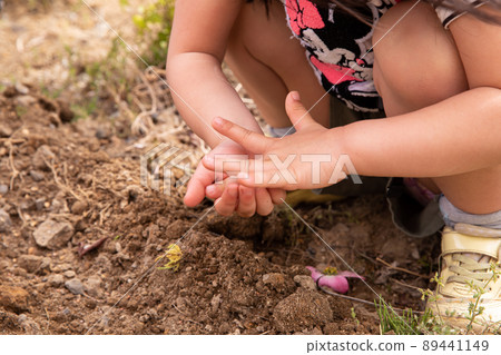 Hands of children with vegetable seeds 89441149