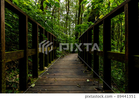 Path way through the forest natural tropical forest nature field, Relaxing with ecological environment, Wooden walking path through tropical rain forest. Path way through the forest natural tropical forest nature field, Relaxing with ecological environment, Wooden walking path through tropical rain forest. 89441351