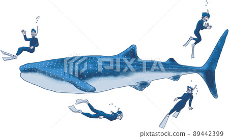 享受在海中浮潛的男女 3 89442399