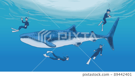 Men and women enjoying snorkeling in the sea 2 Men and women enjoying snorkeling in the sea 2 89442401