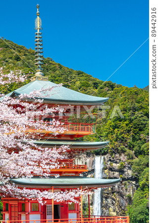 《Wakayama Prefecture》 Nachi Falls and Mt. Nachi in Spring 89442916