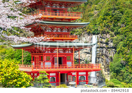 《和歌山縣》春天的那智瀑布和那智山 89442918