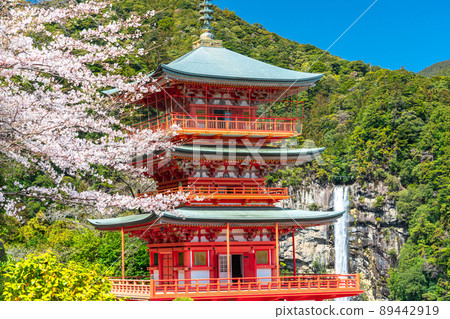 《和歌山縣》春天的那智瀑布和那智山 89442919