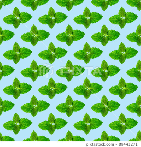 Seamless pattern of fresh mint leaves on blue background Seamless pattern of fresh mint leaves on blue background 89443271