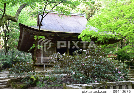 Fresh green Murouji main hall Fresh green Murouji main hall 89443676