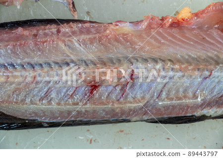 Structure of Clarias gariepinus in the laboratory. Structure of Clarias gariepinus in the laboratory. 89443797