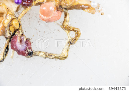 Structure of Giant African Snail in the laboratory. 89443873