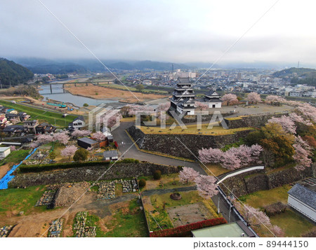 Aerial view of the castle tower and walls of Ozu Castle surrounded by cherry blossoms 89444150