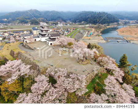 鳥瞰被櫻花環繞的小津城天守閣和城牆 89444155