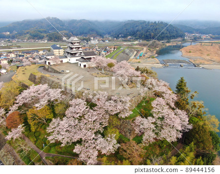 Aerial view of the castle tower and walls of Ozu Castle surrounded by cherry blossoms 89444156