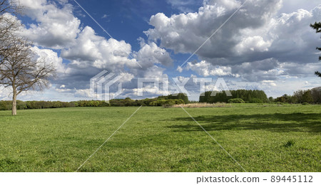 Meadow 89445112