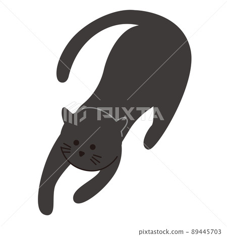 Vector illustration of a black cat. Vector illustration of a black cat. 89445703