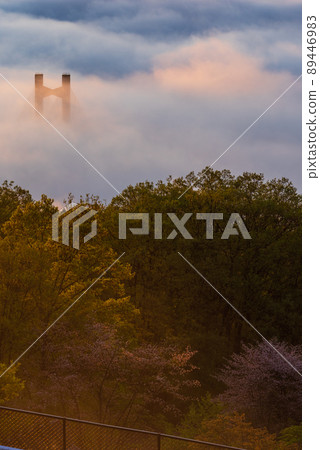 Chichibu Sea of Clouds Chichibu Sea of Clouds 89446983