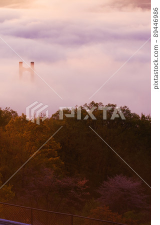 Chichibu Sea of Clouds Chichibu Sea of Clouds 89446986