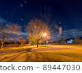 Night park 89447030