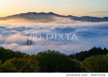 Chichibu Unkai 89447088