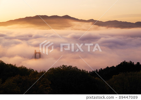 Chichibu Unkai 89447089