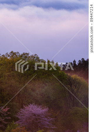 Chichibu Unkai 89447214