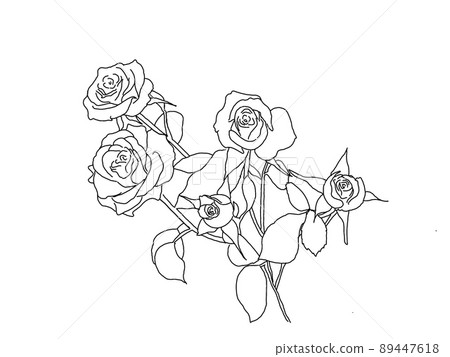 玫瑰花束 玫瑰花束 89447618