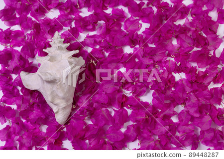 Big white seashell on a purple floral background. Big white seashell on a purple floral background. 89448287