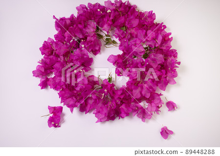 Circle from fresh purple flowers on a white background. Circle from fresh purple flowers on a white background. 89448288