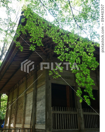 新綠中的中尊寺建築 新綠中的中尊寺建築 89448307