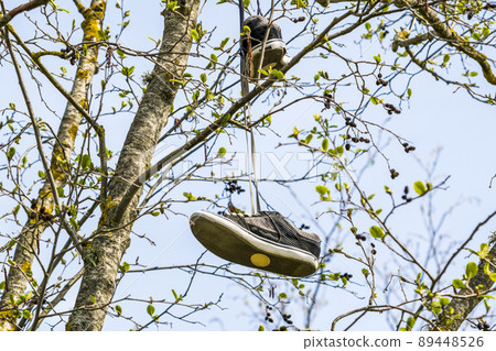 Worn brown sneakers hang on laces on a tree branch Worn brown sneakers hang on laces on a tree branch 89448526