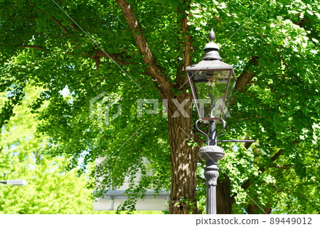 Gas lamp on Yamashita Koen-dori Gas lamp on Yamashita Koen-dori 89449012