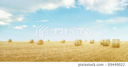 Panorama of yellow field with hay bales under light blue sky with clouds. Minimalistic landscape background Panorama of yellow field with hay bales under light blue sky with clouds. Minimalistic landscape background 89449022