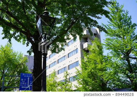 山下公園大道的煤氣燈 山下公園大道的煤氣燈 89449028