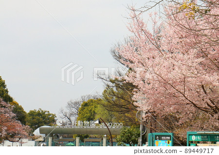 Tokyo Onshi Ueno Zoo and Cherry Blossoms Ueno zoo opened in 1882, Ueno Park, Taito-ku, Tokyo Tokyo Onshi Ueno Zoo and Cherry Blossoms Ueno zoo opened in 1882, Ueno Park, Taito-ku, Tokyo 89449717