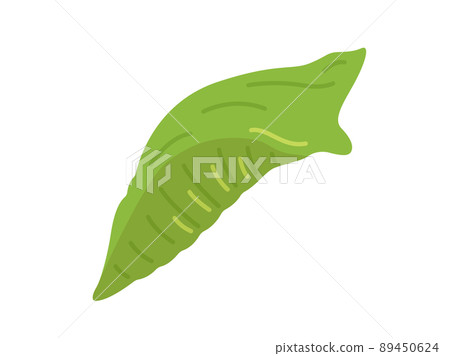 燕尾蛹圖 89450624