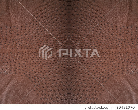 Background from a ostrich genuine leather brown Background from a ostrich genuine leather brown 89451070