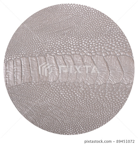 Ostrich leg leather grey isolated on a white background Ostrich leg leather grey isolated on a white background 89451072