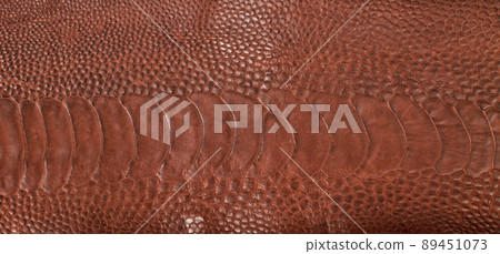 Ostrich leg leather brown isolated on a white background Ostrich leg leather brown isolated on a white background 89451073