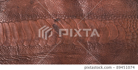 Ostrich leg leather brown isolated on a white background 89451074