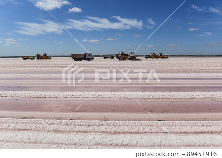 Salt lagoon,Dunaliella salina coloration, La Pampa, Argentina Salt lagoon,Dunaliella salina coloration, La Pampa, Argentina 89451916