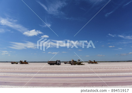 Salt lagoon,Dunaliella salina coloration, La Pampa, Argentina Salt lagoon,Dunaliella salina coloration, La Pampa, Argentina 89451917