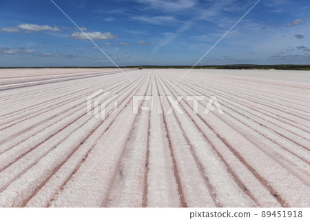 Salt lagoon,Dunaliella salina coloration, La Pampa, Argentina Salt lagoon,Dunaliella salina coloration, La Pampa, Argentina 89451918