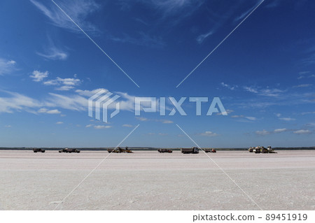 Salt lagoon,Dunaliella salina coloration, La Pampa, Argentina Salt lagoon,Dunaliella salina coloration, La Pampa, Argentina 89451919